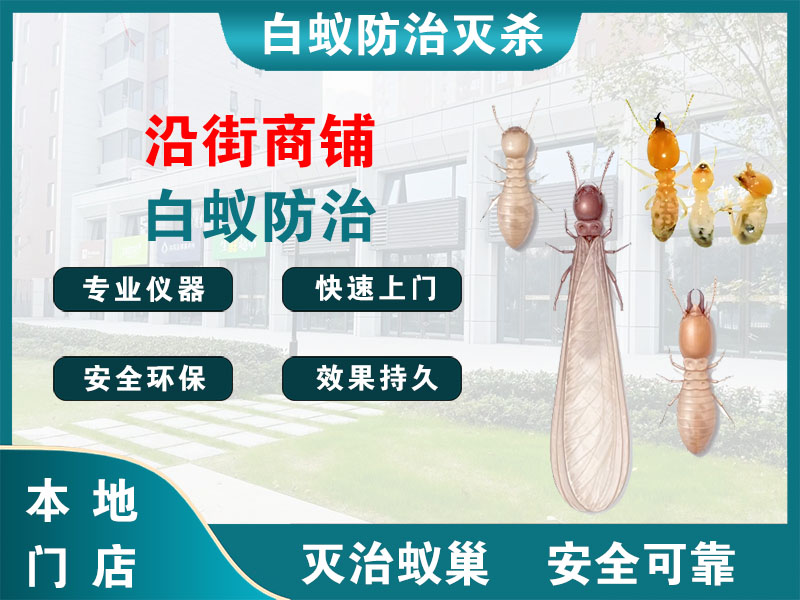 如皋沿街商铺白蚁防治