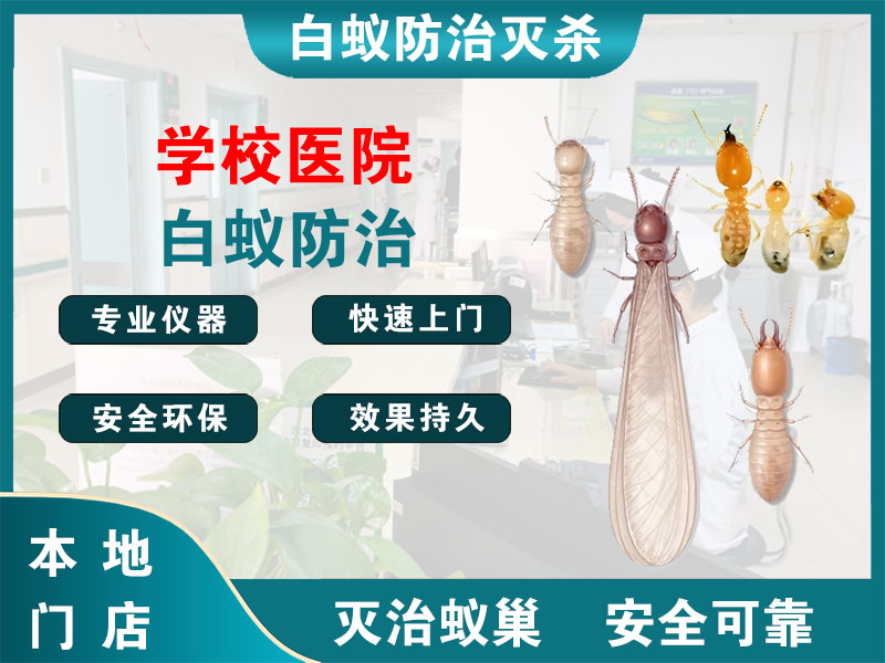 如皋学校医院白蚁防治