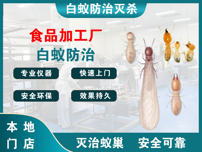 如皋食品加工厂白蚁防治