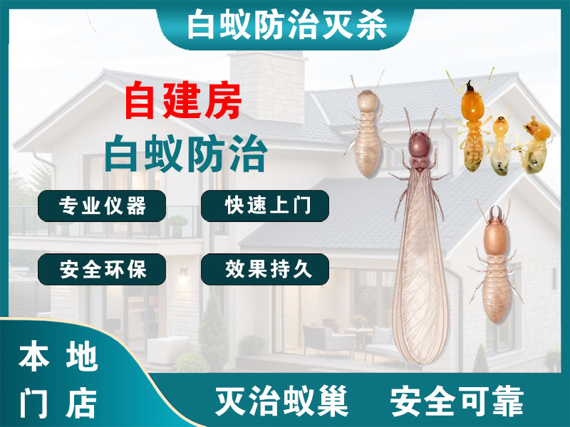 如皋自建房白蚁防治