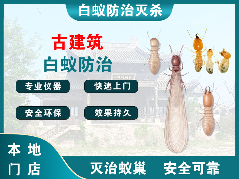 如皋古建筑白蚁防治