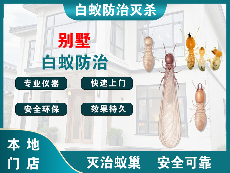 如皋别墅白蚁防治