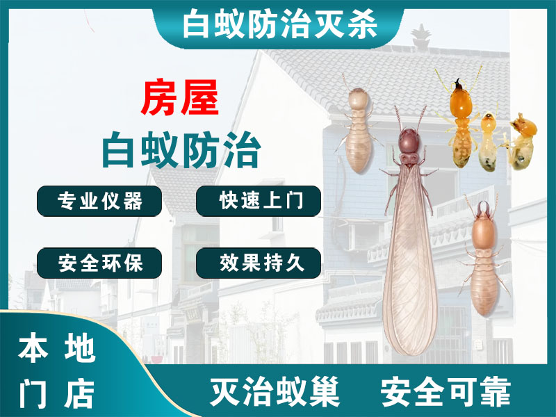 如皋房屋白蚁防治